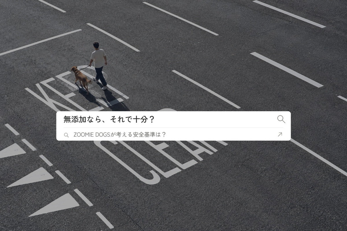 無添加なら、それで十分？ 犬と散歩する人の写真と、ZOOMIE DOGSが考える安全基準の検索窓
