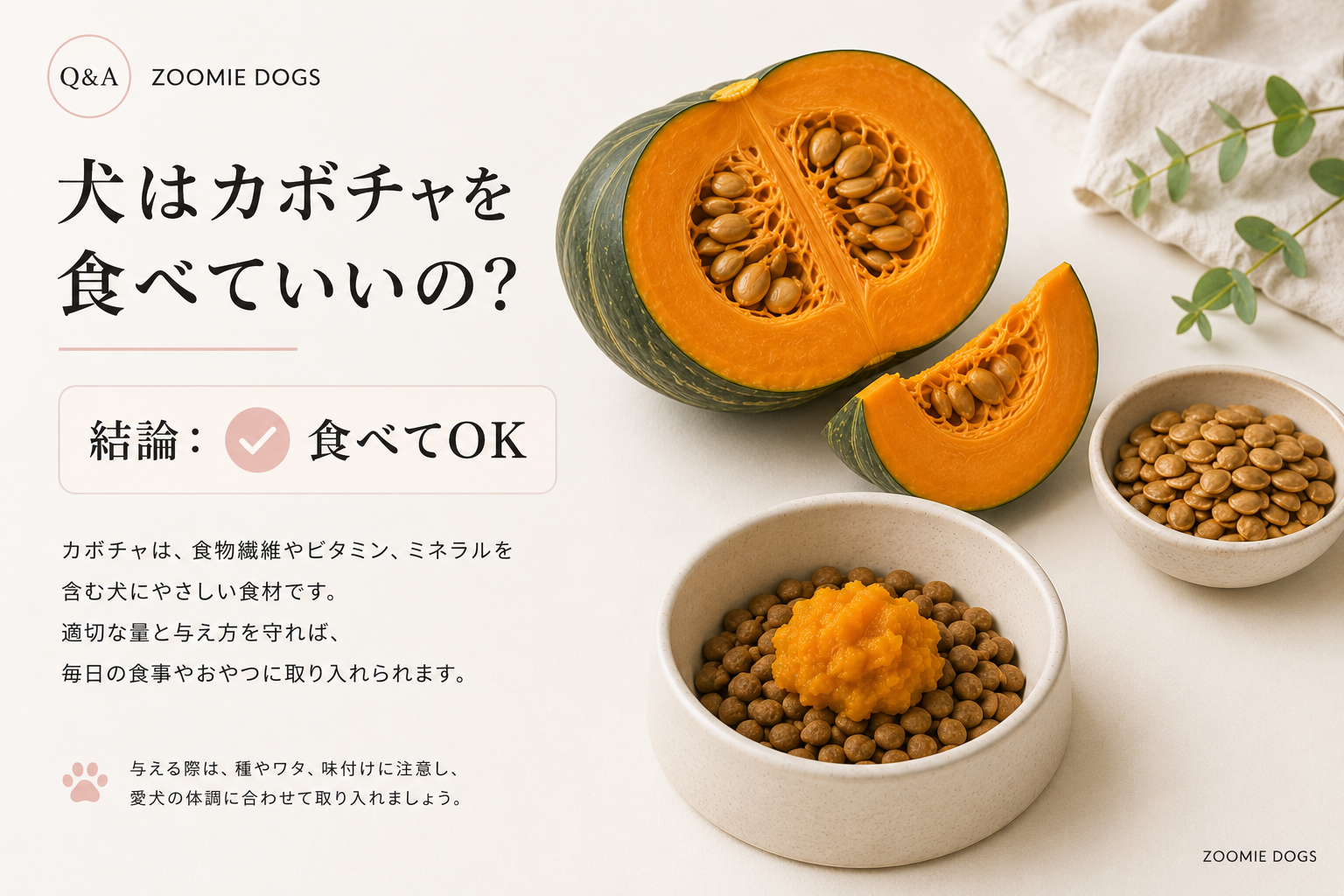 犬ってカボチャ食べていいの？与え方・量・栄養を解説