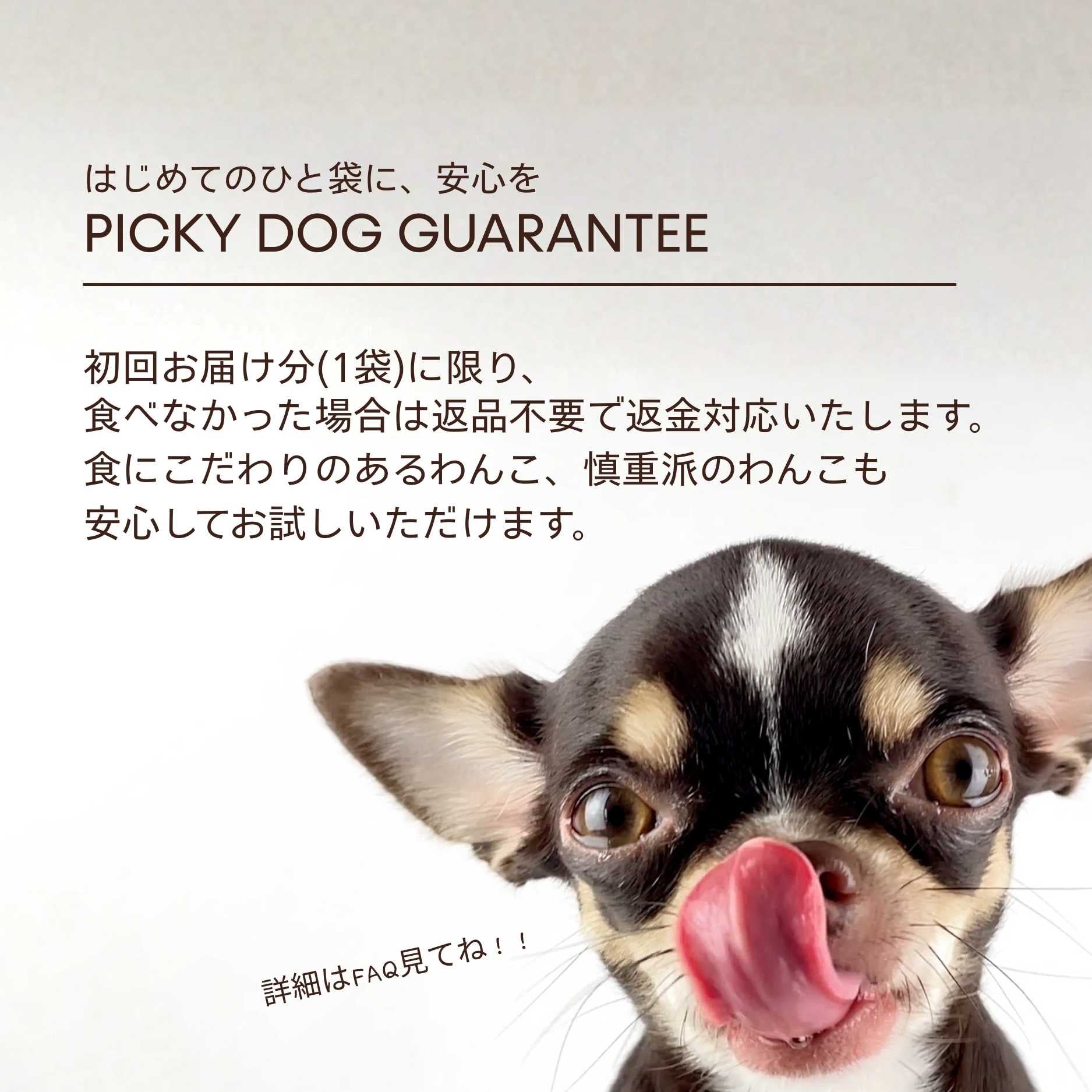 UNKO SUPPORT｜獣医師監修の愛犬用REAL FOODサプリメント【公式