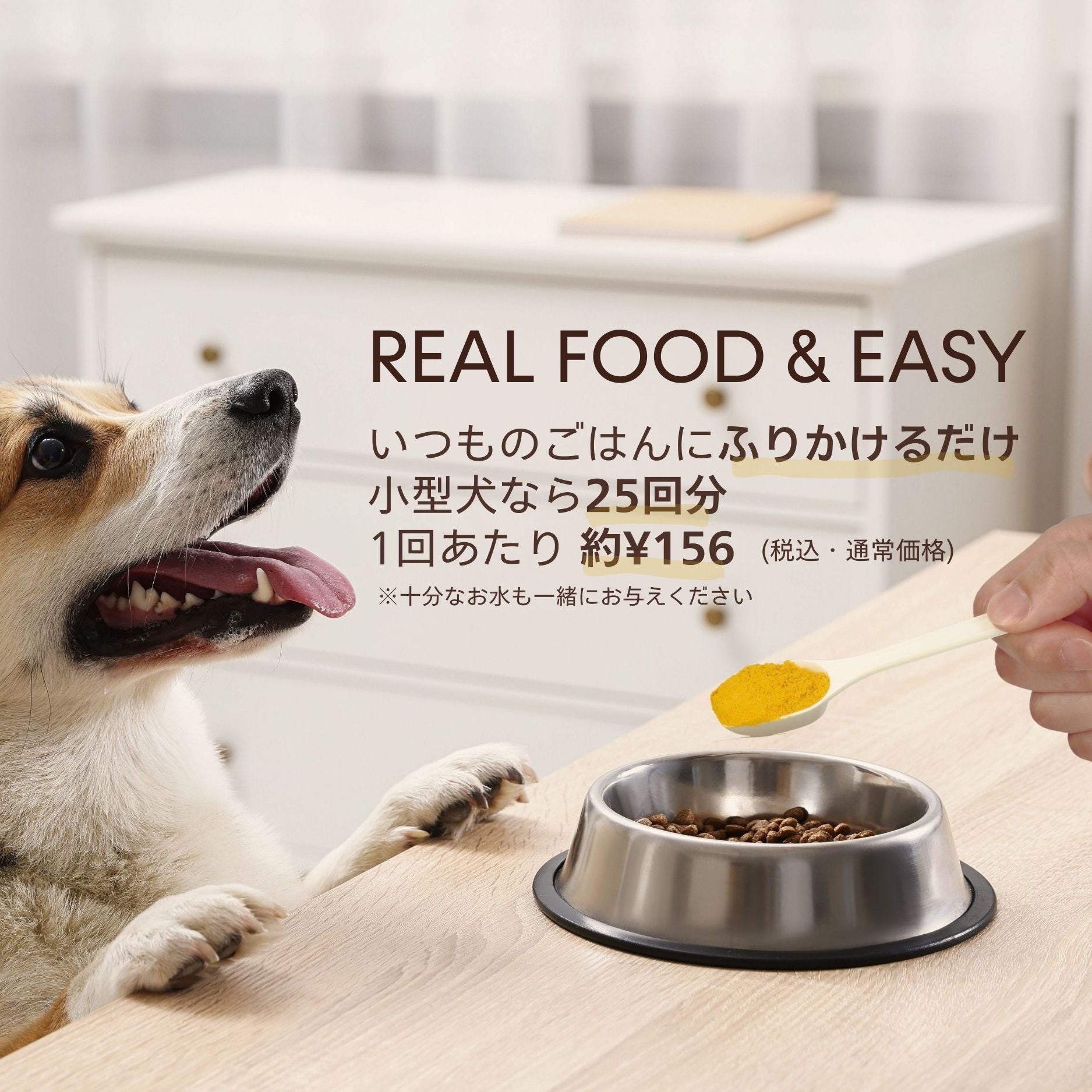 【№6　purin様確認用】愛犬用 UNKO SUPPORT｜獣医師監修の愛犬用REAL FOODサプリメント【公式